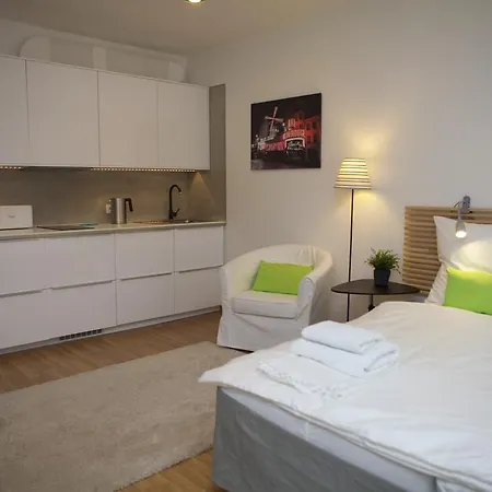 Luxury Studio City Centre Prag